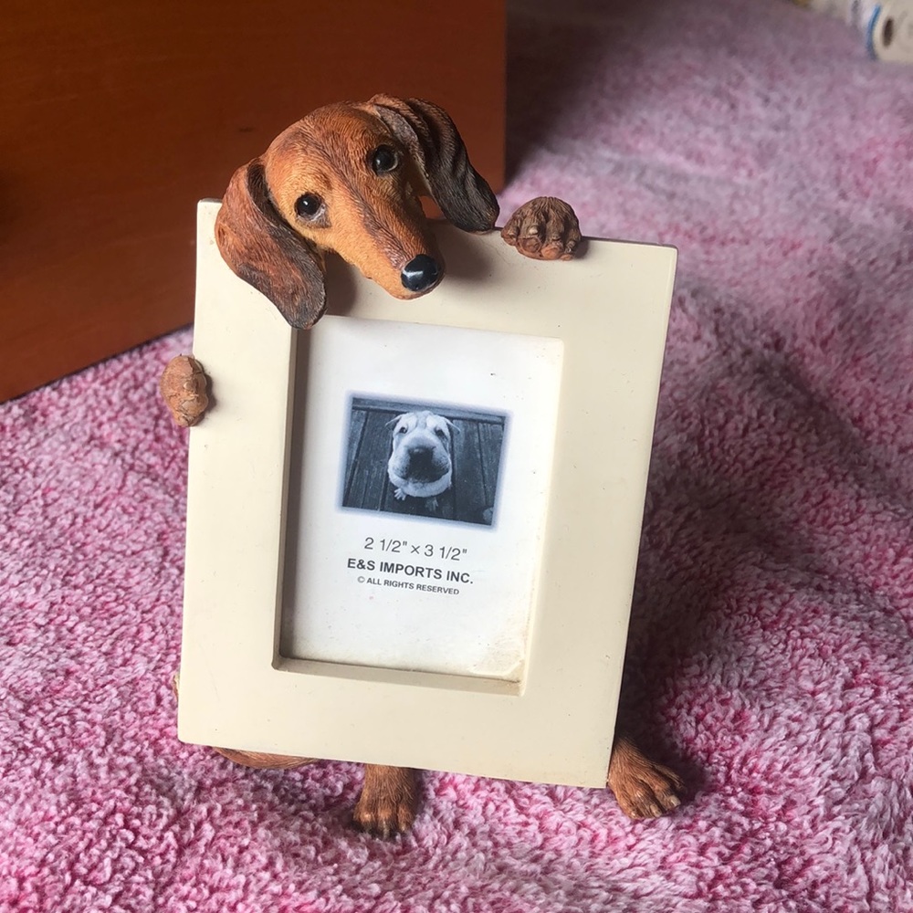 Dachshund Wiener dog picture small frame 🖼